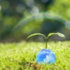 Thumbnail of related posts 062