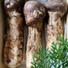 Thumbnail of related posts 143